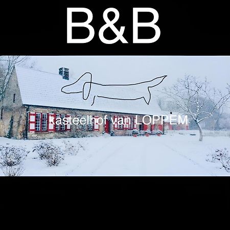 Kasteelhof Van Loppem エクステリア 写真