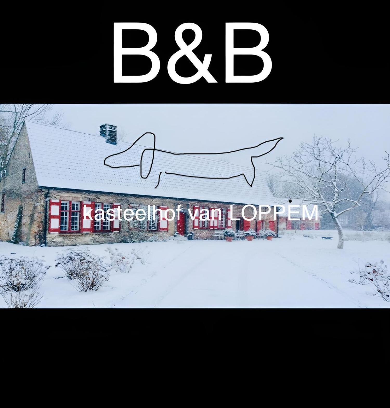 Kasteelhof Van Loppem エクステリア 写真